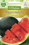 foto: jetzt Chrestensen Wassermelone 'Sugar Baby' Online, bester Preis 2,33 € neu 2025-2024 Bestseller, Rezension