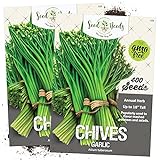 photo: You can buy Seed Needs, Garlic Chives Herb (Allium tuberosum) Twin Pack of 400 Seeds Each Non-GMO online, best price $3.99 new 2024-2023 bestseller, review