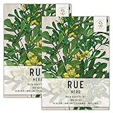 photo: You can buy Seed Needs, Rue Herb (Ruta graveolens) Twin Pack of 200 Seeds Each Non-GMO online, best price $8.85 ($0.04 / Count) new 2024-2023 bestseller, review