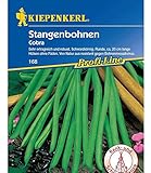 foto: jetzt Kiepenkerl Stangenbohnen 'Cobra',1 Portion Online, bester Preis 4,28 € neu 2025-2024 Bestseller, Rezension