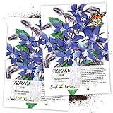 photo: You can buy Seed Needs, Blue Borage Herb (Borago officinalis) Twin Pack of 100 Seeds Each online, best price $4.85 ($0.05 / Count) new 2024-2023 bestseller, review