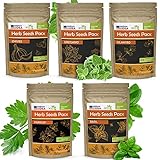 photo: You can buy Parsley, Basil, Cilantro, Oregano, Chives - 5 Culinary Herb Seeds Pack - Heirloom and Non GMO, Grown in USA - Indoor or Outdoor Garden online, best price $7.91 new 2024-2023 bestseller, review