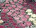 photo flowering kale Flowering Cabbage -Nagoya Mix’ - 40 Seeds , ornamental kale 2024-2023