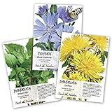 photo: You can buy Seed Needs, Dandelion Seed Collection (3 Individual Packets) Non-GMO online, best price $9.85 ($3.28 / Count) new 2024-2023 bestseller, review