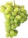 foto Pinkdose 30seds / bag seme fertilizzante frutto di semi d'uva frutta balcone in vaso 5: 2 2024-2023