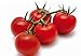 foto POMODORO CILIEGINO NERO 30 SEMI Pomodorino Dolce Alta Resa Black Cherry Tomato 2024-2023