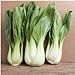 foto Pacchetto di 300 semi, Pak Choi bianco Stem Semenza di cavolo (Brassica rapa) 2024-2023