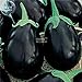 foto Visa Store 2018 vendita calda Davitu melanzane nero grandi semi di ortaggi, 100 semi, organici gustosi per la casa giardino E4327I 2024-2023