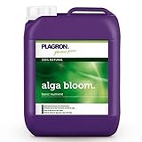 foto: acquista Fertilizzante bio Alga Bloom fioritura 5L – Plagron on-line, miglior prezzo EUR 56,00 nuovo 2024-2023 bestseller, recensione