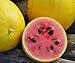foto Bobby-Seeds Melonensamen Golden Midget Wassermelone Portion 2022-2021