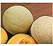 foto Premier Seeds Direct ORG070 organische „Hales Best Jumbo“ MelonenSamen (Packung mit 50) 2022-2021