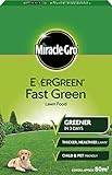 foto: acquista EverGreen estremo prato verde scatola di fertilizzante 80 m² on-line, miglior prezzo EUR 20,10 nuovo 2024-2023 bestseller, recensione