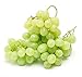 foto Pinkdose Bonsai di vite d'uva in miniatura - Patio Syrah - Vitis Vinifera - Pianta d'appartamento - 10 pezzi - Bonsai di frutta: 1 2024-2023