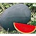 foto SEMI PLAT firm-dolce gigante nero anguria Semi, cocomero senza semi Semi, Giardino Piantare, Cortile Bonsai Frutta - 20 Particelle/Bag 2024-2023