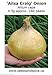 foto Portal Cool Semi di cipolla 'Ailsa Craig' (Allium Cepa) 0.5G 140 2024-2023
