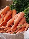 foto: acquista Carote giganti, uniche e gustose, circa 50 semi, ad alto contenuto di carotene, un’esplosione di vitamine on-line, miglior prezzo EUR 2,49 nuovo 2024-2023 bestseller, recensione