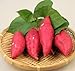 foto Pinkdose 100pcs / bag dolci semi di patate Verdura semi freschi di frutta verdura e alimentari Forniture da giardino piante bonsai per il giardino di casa: 1 2024-2023