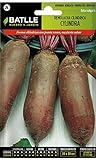 foto: acquista Semi Ortaggi Di Batlle - Barbabietola Cylindra (500 Seeds) on-line, miglior prezzo EUR 1,95 nuovo 2024-2023 bestseller, recensione