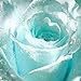 foto Ncient 20/50 Semi Sementi di Rosa Blu Chiaro Semi di Fiori Rari Pianta Profumati per Orto Giardino Balcone Interni ed Esterni 2024-2023