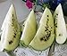 foto Bobby-Seeds Melonensamen Cream of Saskatchewan Wassermelone Portion 2022-2021