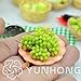 foto Pinkdose Nuovo Bonsai!Bonsai D'uva in Miniatura, Patio Syrah, Vitis Vinifera, Pianta d'appartamento, 50 PCS/Pack, Bonsai di Frutta, 13BG80 2024-2023