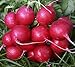 foto Plantree Crimson Giant: 200+ Nuovi Semi di ravanello Non OGM - Champion Cherry Belle Crimson Giant Scarlet Globe 2024-2023