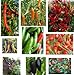 foto Collezione di semi di peperoncino - 10 confezioni, 10 varietà, 100 semi. 2024-2023