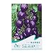 foto Kofun viola pomodoro verdure semi bella e Vivid Flower verdure piantare semi 20 pezzi/1 borsa, Purple Tomato, 1 Bag 2024-2023