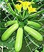 foto Vistaric 20 teile/beutel Organische Zucchini Samen Sommer Kürbis (Cucurbita pepo) outdoor Gemüsesaatgut für Hausgarten Pflanzen samen 2022-2021