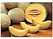 foto Premier Seeds Direct MEL03 Cantaloupe Herz aus Gold MelonenSamen (Packung mit 100) 2022-2021