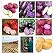 foto Pinkdose Una borsa 200pcs giganti * piante viola patate Bonsai Nutrizione arcobaleno Piante ortive Per la casa Giardino Piantare piante rare Semente: Multi-Colored 2024-2023