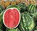foto Bobby-Seeds Melonensamen Crimson Sweet - Wassermelone 50 Korn 2022-2021