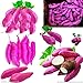 foto Pinkdose Giallo piante di patate dolci piante da giardino Bonsai Jicama/dolci frutta e verdura piante di patate per 20 Pz imballaggio di trasporto: viola 2024-2023