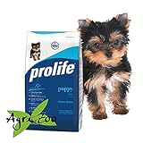 foto: acquista PROLIFE - Puppy Mini 12 kilogramm on-line, miglior prezzo EUR 50,25 nuovo 2024-2023 bestseller, recensione