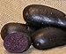 foto Sycamore Trading Semi di patata viola per 10 tuberi Varietà di patata precoce viola con buccia liscia blu scuro o viola e polpa di colore blu intenso. 2024-2023