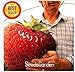 foto ! Promozione fragola gigante semi dolce fragola quattro stagioni, Rare, fragrante, dolce & Juicy - 200 pc / lotto, # JO9E8A 2024-2023