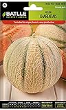 foto: acquista Semi Batlle – Melone on-line, miglior prezzo EUR 7,62 nuovo 2024-2023 bestseller, recensione