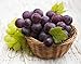 foto Pinkdose Trasporto libero, anziani Piante Cortile, semi delizioso frutto, Gold Finger 100pcs semi d'uva: 8 2024-2023