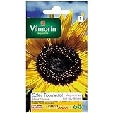 foto: acquista Vilmorin - Bustina semi Sole girasole fiore gigante on-line, miglior prezzo EUR 1,90 nuovo 2024-2023 bestseller, recensione