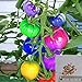 foto BigFamily 100Pcs Semi di pomodoro arcobaleno Semi di verdure bonsai colorati Home Garden Decor 2024-2023