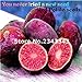 foto Shopmeeko 100 pz di Alta qualitÃ  Piante di Patate Rare No OGM Viola Rosso Patate Frutta e Verdura Piante per la casa Jardin Piante fioriere: Rosso 2024-2023
