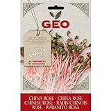 foto: acquista Geo China Rose Semi da Germoglio, Marrone, 12.7x0.7x20 cm on-line, miglior prezzo EUR 12,73 nuovo 2024-2023 bestseller, recensione