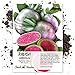 photo Package of 500 Seeds, Watermelon Radish (Raphanus sativus) Non-GMO Seeds by Seed Needs 2022-2021