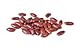 photo Bush Bean Red Kidney Bean Seeds 2024-2023