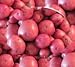 photo Seed Potatoes for Planting Red Norland Seed Potatoes 10 lbs. 2022-2021