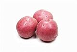 photo: You can buy Seed Potatoes for Planting Russet - 5 lb online, best price $39.97 ($0.50 / Ounce) new 2024-2023 bestseller, review