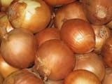 photo: buy Onion Seeds- Sweet Yellow Spanish Heirloom- 250+ Seeds online, best price $4.39 new 2022-2021 bestseller, review