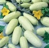 photo: You can buy David's Garden Seeds Cucumber Pickling White Miniature 9881 (White) 50 Non-GMO, Open Pollinated Seeds online, best price $4.45 new 2024-2023 bestseller, review