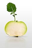 photo: acheter 100 graines - CHOU Rave Blanc Hâtif Vienne - Brassica oleracea en ligne, meilleur prix 2,29 € (0,02 € / unité) nouveau 2024-2023 best-seller, examen