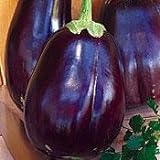 photo: You can buy Eggplant Black Beauty Great Heirloom Vegetable 1,300 Seeds online, best price $3.95 new 2024-2023 bestseller, review